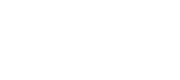 logo Purple Designs